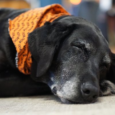 Profile Picture of Gary Stavrum (@ElbowSlough) on Twitter