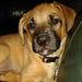 Profile Picture of Chad Munn (@chadm0811) on Pinterest