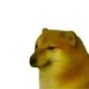 Profile Picture of Daniel Belman (@danielbelman2656) on Youtube