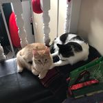 Profile Picture of Leah And Luke (@leah.andluk) on Instagram