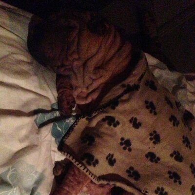 Profile Picture of Daniel O Byrne (@121OByrne) on Twitter