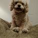 Profile Picture of Sandi Allen (@sandiallen72) on Pinterest