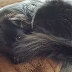 Profile Picture of Eric Scherzberg (@ericscherzberg) on Instagram