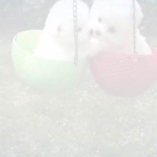 Profile Picture of Vivek Soni (@Vivek-Soni) on Facebook