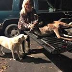 Profile Picture of Katherine O'Connell Crain (@keckeo) on Instagram