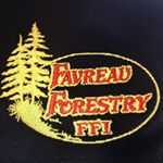 Profile Picture of Brian Favreau (@favreauforestry) on Instagram