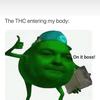 Profile Picture of benjamin.grimsby (@@benjamingrimsby) on Tiktok