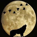 Profile Picture of Ahmad (@brian_mengel) on Instagram