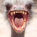 Profile Picture of Nicholas Macdonald (@nicholas.macdonald.54390) on Facebook