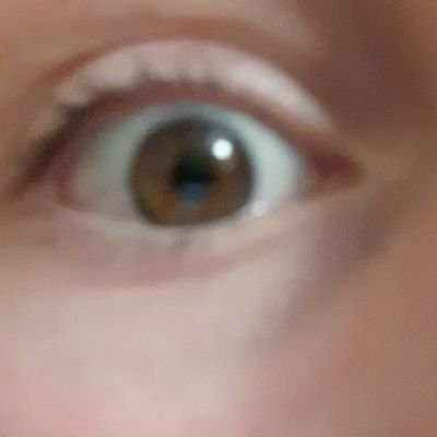 Profile Picture of Daniel Mašek (@DanielMaek11) on Twitter