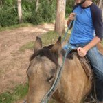 Nate Abbott - Instagram Profile Picture of Nate Abbott (@abbott4321) on Instagram