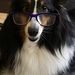 Profile Picture of Maxine Joseph (@mmjoseph) on Pinterest