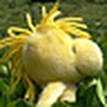 Profile Picture of Lok (@lam lok) on Flickr