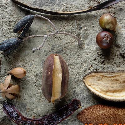 Profile Picture of Nick Deacon (@nicholasjdeacon) on Twitter