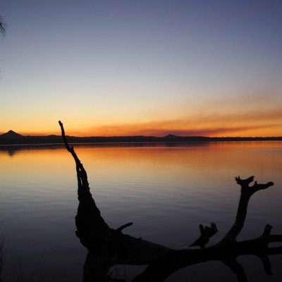 Profile Picture of Paul Rollison (@PaulRolly) on Twitter