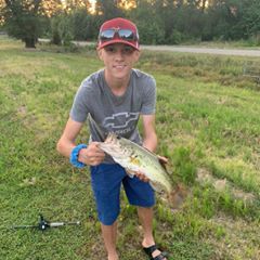 Profile Picture of Paula Welch (@@paulawelch6) on Tiktok