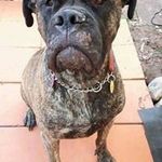 Profile Picture of Jordan Dabney (@jordan.dabney1) on Instagram