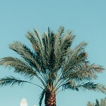 Profile Picture of Josh Phillips (@pjoshua11) on Flickr