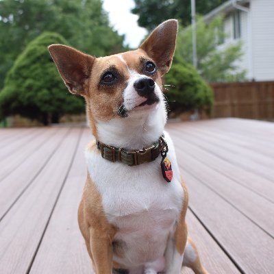 Profile Picture of Marxist Of Color (@DesignerSADIO) on Twitter