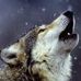 Profile Picture of Lawrence Biels (@lawrence.biels) on Facebook