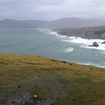 Profile Picture of Nora Scanlon (@scanlonnora) on Instagram