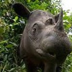 Profile Picture of Carl Hensley (@carl.hensley) on Instagram