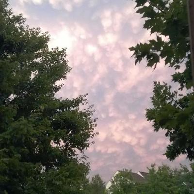 Profile Picture of Andrea Pernice (@marvalp932) on Twitter