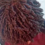 Profile Picture of Daniel Narciso (@Daniel-Narciso) on Facebook