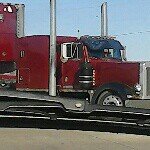 Profile Picture of Curtis Potter (@curtispotter21) on Instagram