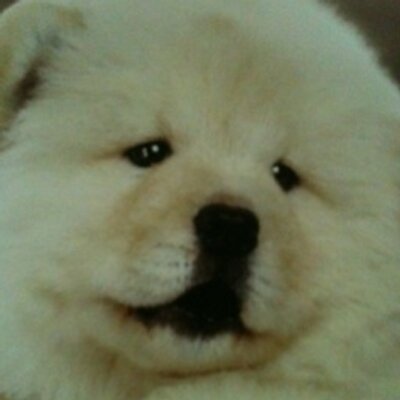 Profile Picture of Kim Dong Rak (@hope0710) on Twitter