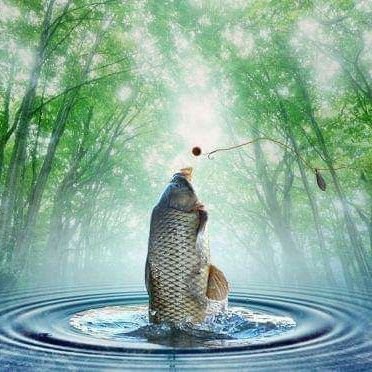 Profile Picture of Mâle Alpha (@Kevin20282424) on Twitter