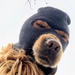 Profile Picture of Cliff Henniger (@cliffhenniger) on Instagram