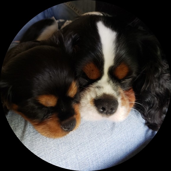 Profile Picture of Kirsten Omtvedt (@komtvedt) on Poshmark