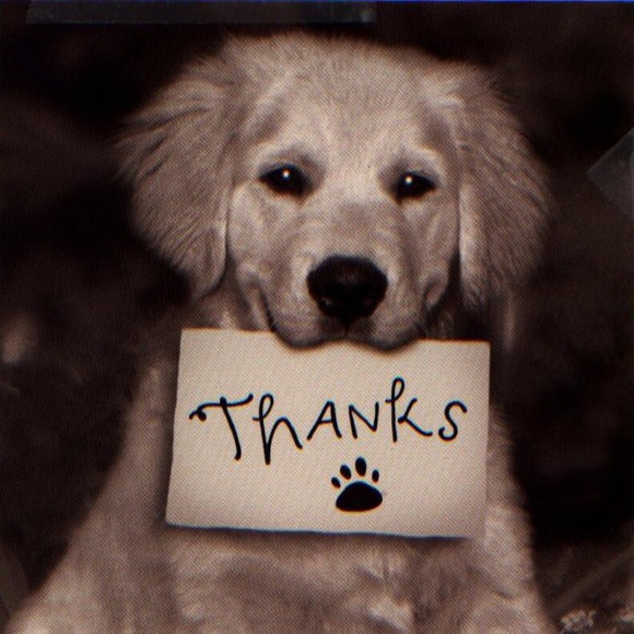 Marina Planchak - Poshmark Profile Picture of Marina Planchak (@charm526) on Poshmark