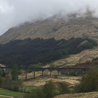 Profile Picture of Joey Burleson (@joey.burleson.39) on Facebook