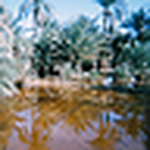 Profile Picture of Ahmed Hamdani (@elhamadani) on Flickr