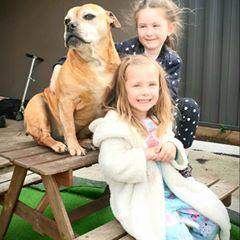 Profile Picture of Stuart Pringle (@stuartpringle0) on Tiktok