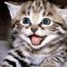 Profile Picture of Barbara Conaway (@barbara.conaway.58) on Facebook