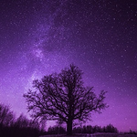 Profile Picture of alvin jones (@princejones420) on Flickr