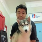 Steven Bie Hezer - Instagram Profile Picture of Steven Bie Hezer (@biesteven) on Instagram