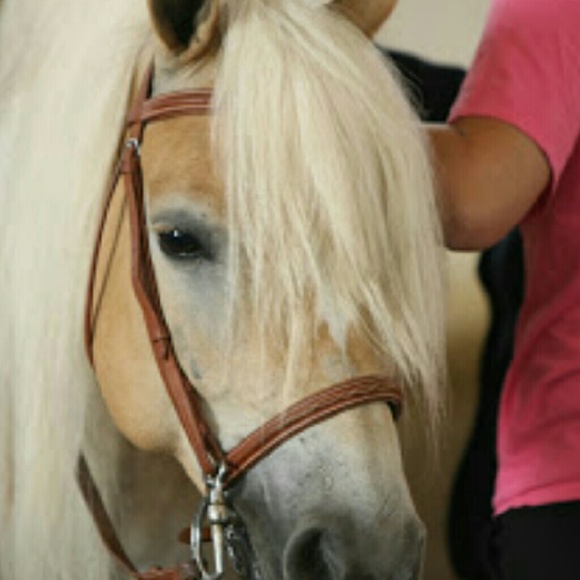 Profile Picture of Leah Berardinelli (@leahbeah223) on Poshmark