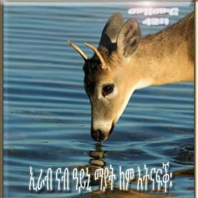 Profile Picture of Yodit Tesfay (@TesfayYodit) on Twitter