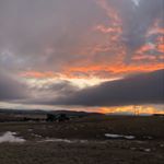 Profile Picture of Tara Stugelmeyer (@rooftopandsunsets) on Instagram