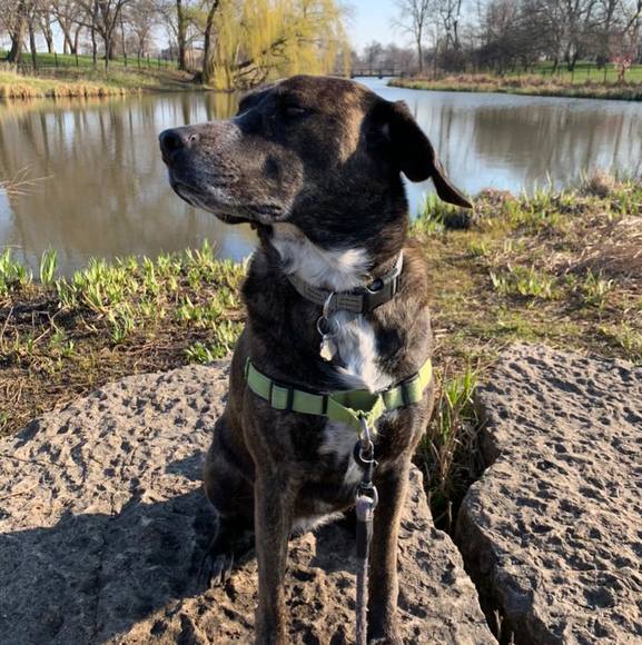 Profile Picture of Gina Greeder (@spiralslide) on Poshmark