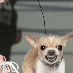 Profile Picture of Mary_nap_123 (@Marynap1231) on Twitter