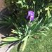 Profile Picture of Kathy Kaiser (@kathy.kaiser.7399) on Facebook