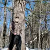 Profile Picture of Robert Erickson (@robert.erickson) on Tiktok