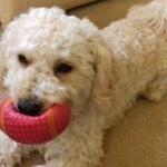 Profile Picture of June Hodgson (@outwood14) on Instagram