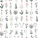 Profile Picture of Sara Boccaccini Meadows (@boccaccinimeadows) on Instagram