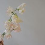 Profile Picture of 선그로_ 고속터미널 경부선 3층 (@sungrow_kr) on Instagram